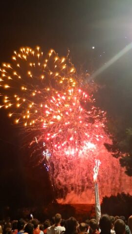 Fin de fiestas Alfaro