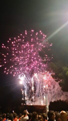 Fin de fiestas Alfaro