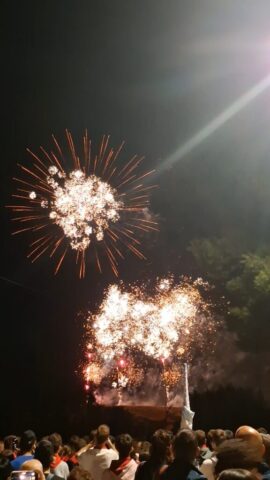Fin de fiestas Alfaro