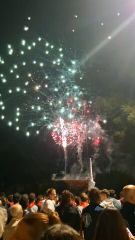 Fin de fiestas Alfaro