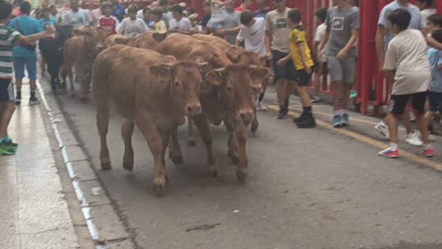 Fiestas del Burgo en Alfaro