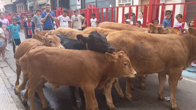 Fiestas del Burgo en Alfaro