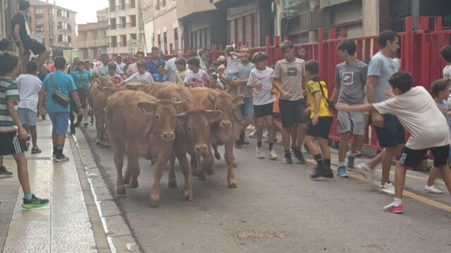 Fiestas del Burgo en Alfaro