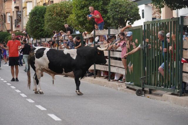 Toro de San Miguel Rincón de Soto 2026