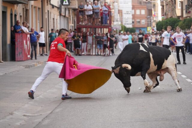 Toro de San Miguel Rincón de Soto 2026