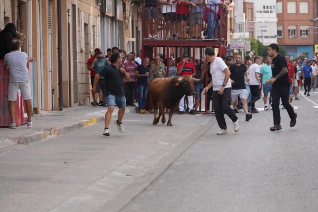 Toro de San Miguel Rincón de Soto 2026