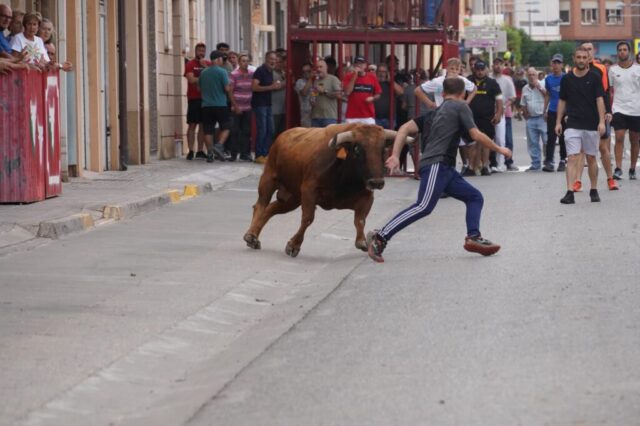 Toro de San Miguel Rincón de Soto 2026