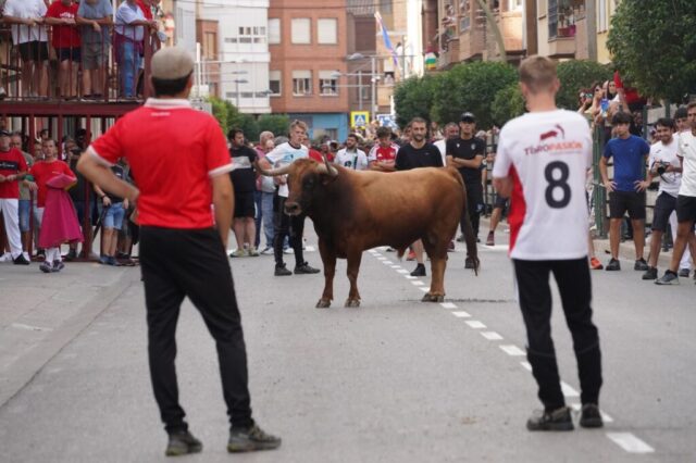 Toro de San Miguel Rincón de Soto 2026