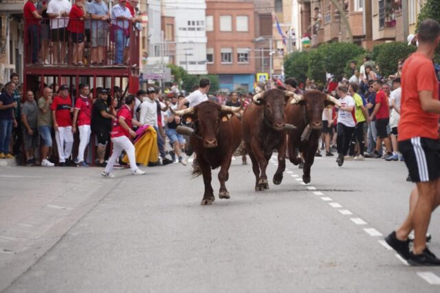 Toro de San Miguel Rincón de Soto 2026