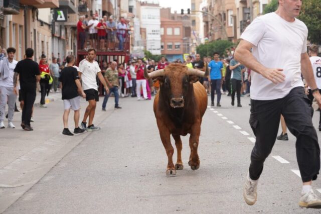 Toro de San Miguel Rincón de Soto 2026