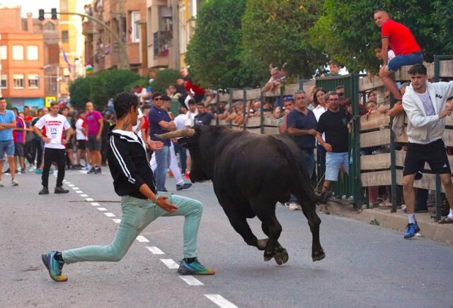 Toro de San Miguel Rincón de Soto 2026