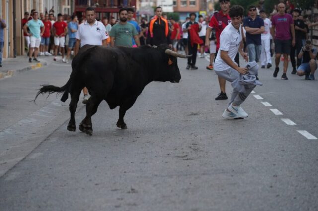 Toro de San Miguel Rincón de Soto 2026