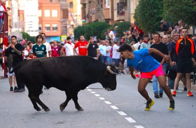 Toro de San Miguel Rincón de Soto 2026