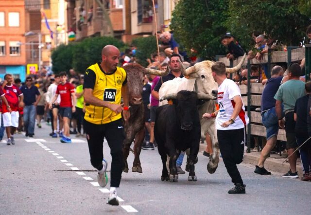 Toro de San Miguel Rincón de Soto 2026