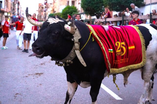 Toro de San Miguel Rincón de Soto 2026
