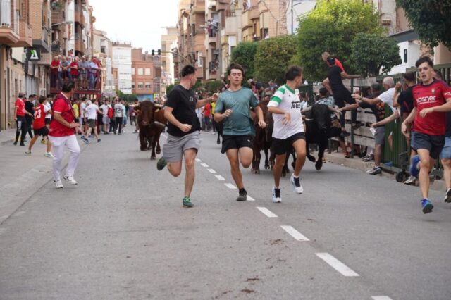 Toro de San Miguel Rincón de Soto 2026