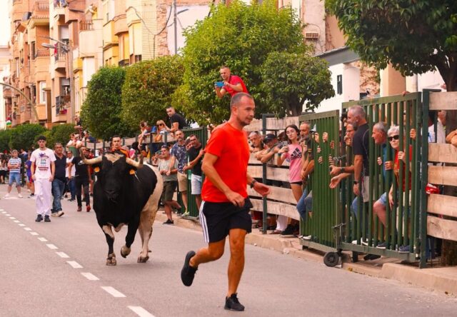 Toro de San Miguel Rincón de Soto 2026