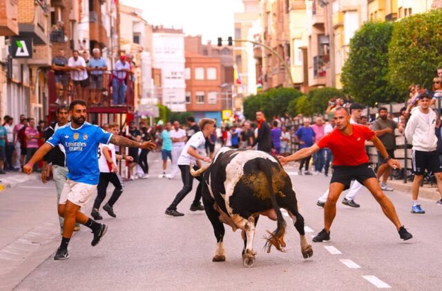 Toro de San Miguel Rincón de Soto 2026