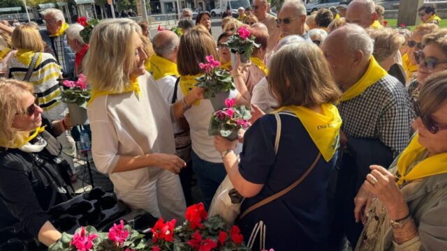 Dia personas mayores 26