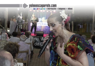 ‘Bimilenaria Cultural’ recibe una valoración muy positiva del público
