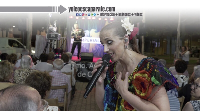 ‘Bimilenaria Cultural’ recibe una valoración muy positiva del público
