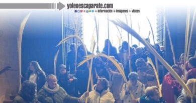 La Borriquilla procesiona en Calahorra