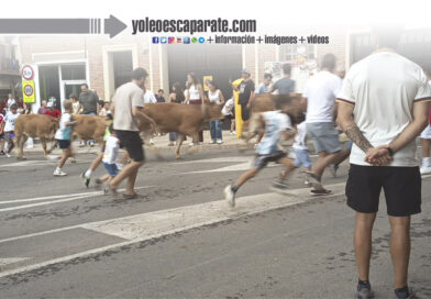 Alfaro se encuentra celebrando las fiestas de la Virgen del Burgo