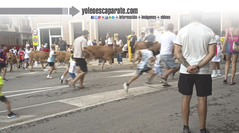 Alfaro se encuentra celebrando las fiestas de la Virgen del Burgo