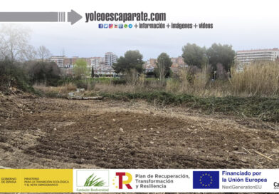 Comienzan los trabajos para reforzar la protección del ecosistema del río Cidacos