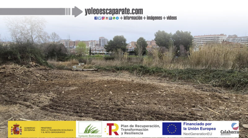 Comienzan los trabajos para reforzar la protección del ecosistema del río Cidacos