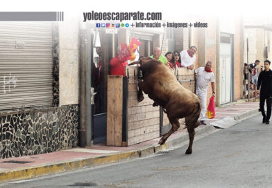 Azagra vive sus fiestas con el encierro como uno de sus grandes protagonistas