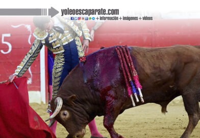 Opinión. «El clasicismo no entiende de tiempos»