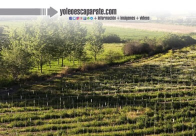 Jóvenes en ruta estrena septiembre con un nuevo paseo por Murillo de Calahorra