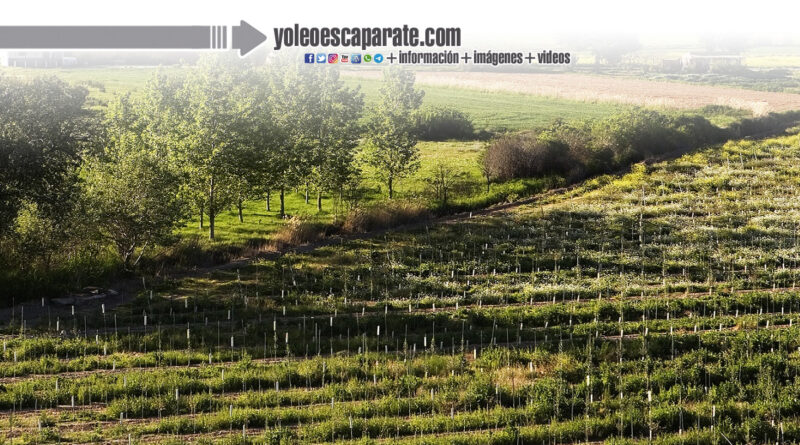 Jóvenes en ruta estrena septiembre con un nuevo paseo por Murillo de Calahorra