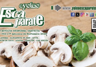 Escaparate 1ª Quincena de Noviembre: Autol y Calahorra, dos citas para chuparse los dedos