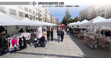 En marcha durante todo el fin de semana el Promostock