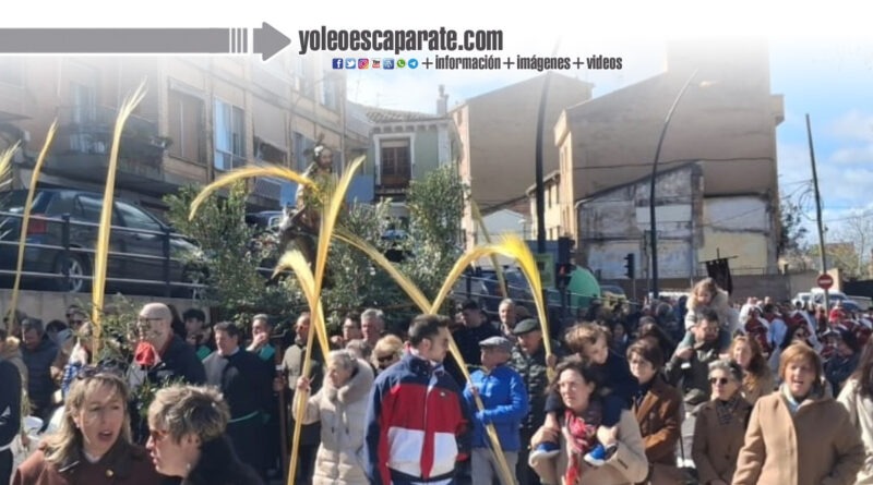 Los ramos protagonistas en Alfaro