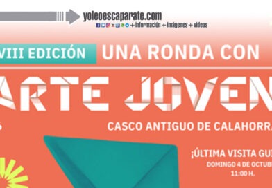 El CJCC celebra la gran acogida de la VIII edición de “Una ronda con arte joven”