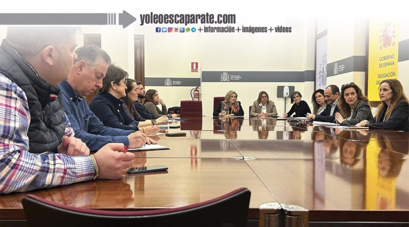 La delegada de Gobierno, Beatriz Arraiz Nalda, se reúne con representantes de las cabeceras de comarca para ofrecerles la colaboración con Tráfico