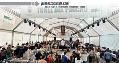 Nueva cita esta tarde con el túnel del pincho