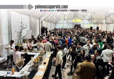 El Túnel del Pincho deja una multitudinaria cita con sabor a verdura (galería de fotos)