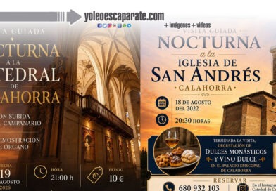 Calahorra propone dos visitas guiadas nocturnas para descubrir su patrimonio al atardecer